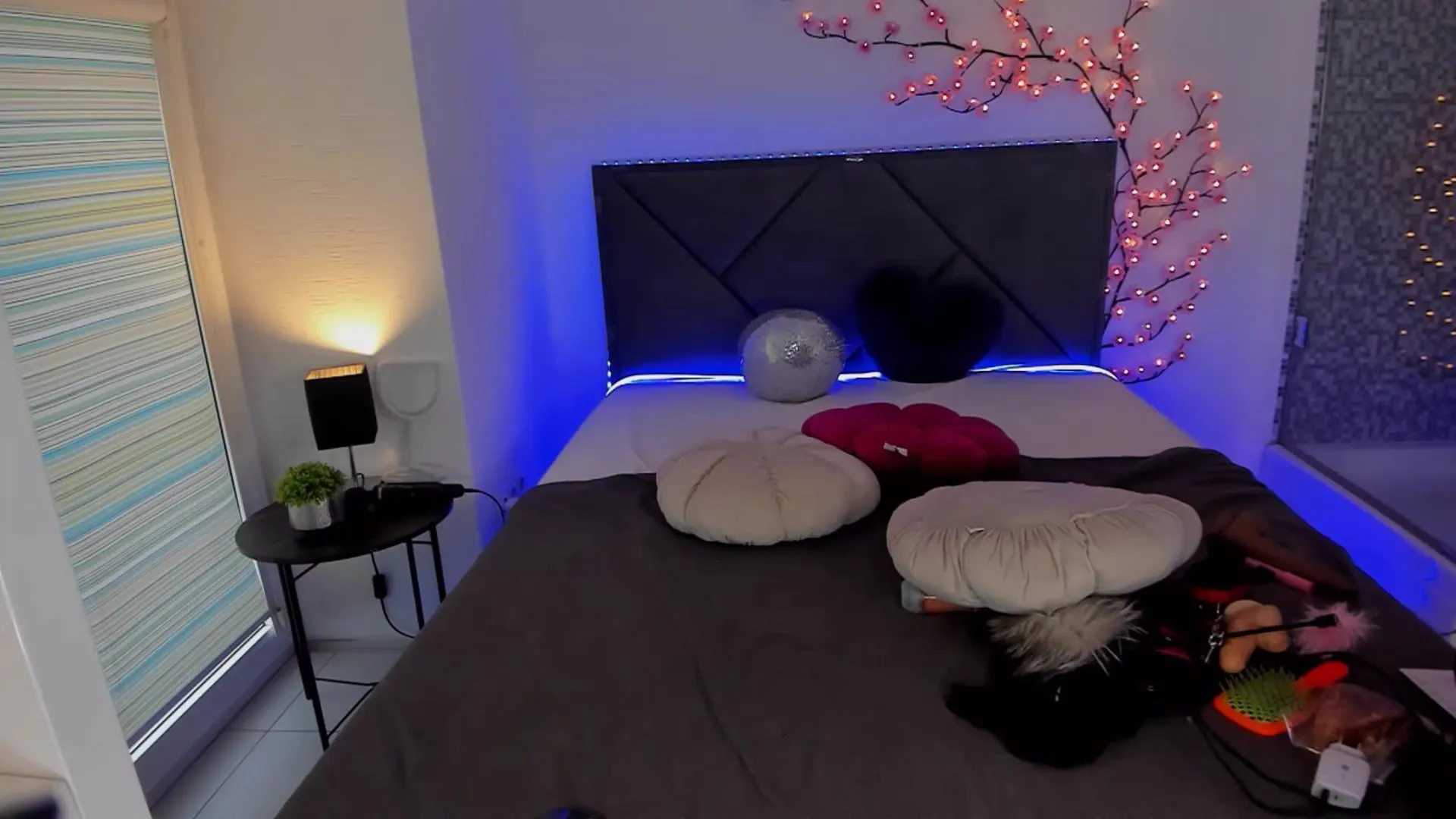 Offline CassieEvans on Cam4