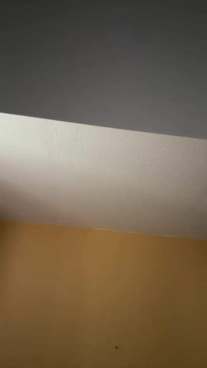 Offline Chloeducq on Cam4