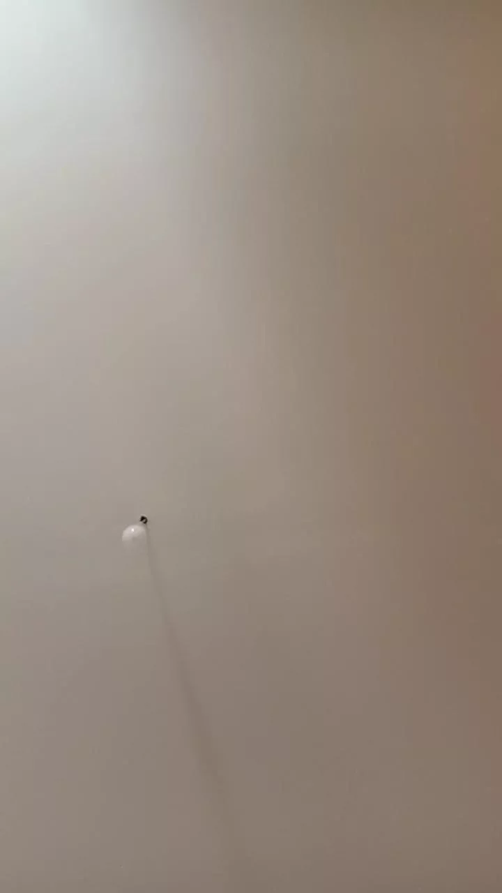 Offline Chloeducq on Cam4