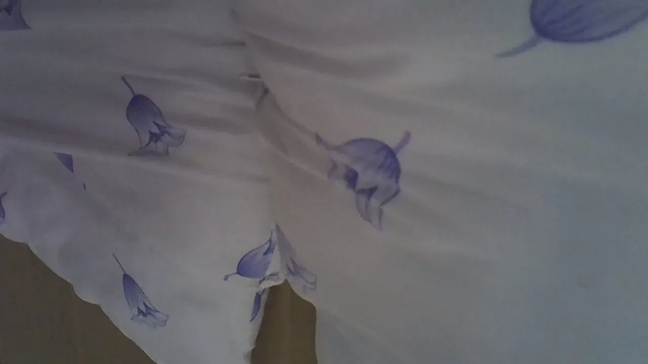 Offline Countrygirl004 on Cam4