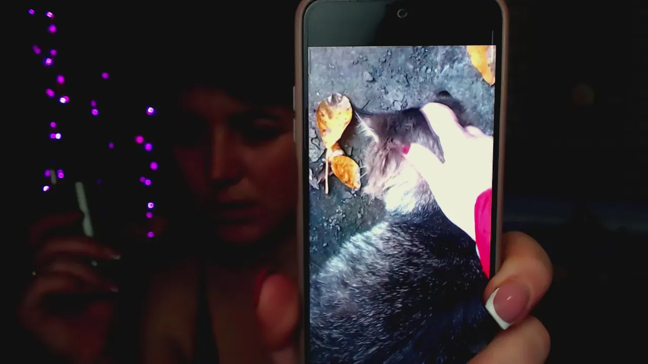 Freechat Darina_M_ on Cam4