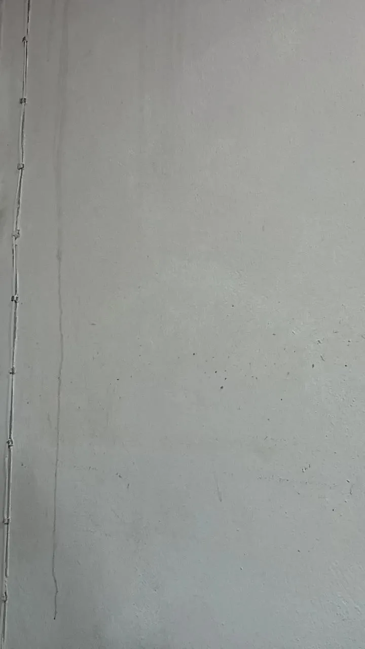 Offline Diabinha308sexy on Cam4