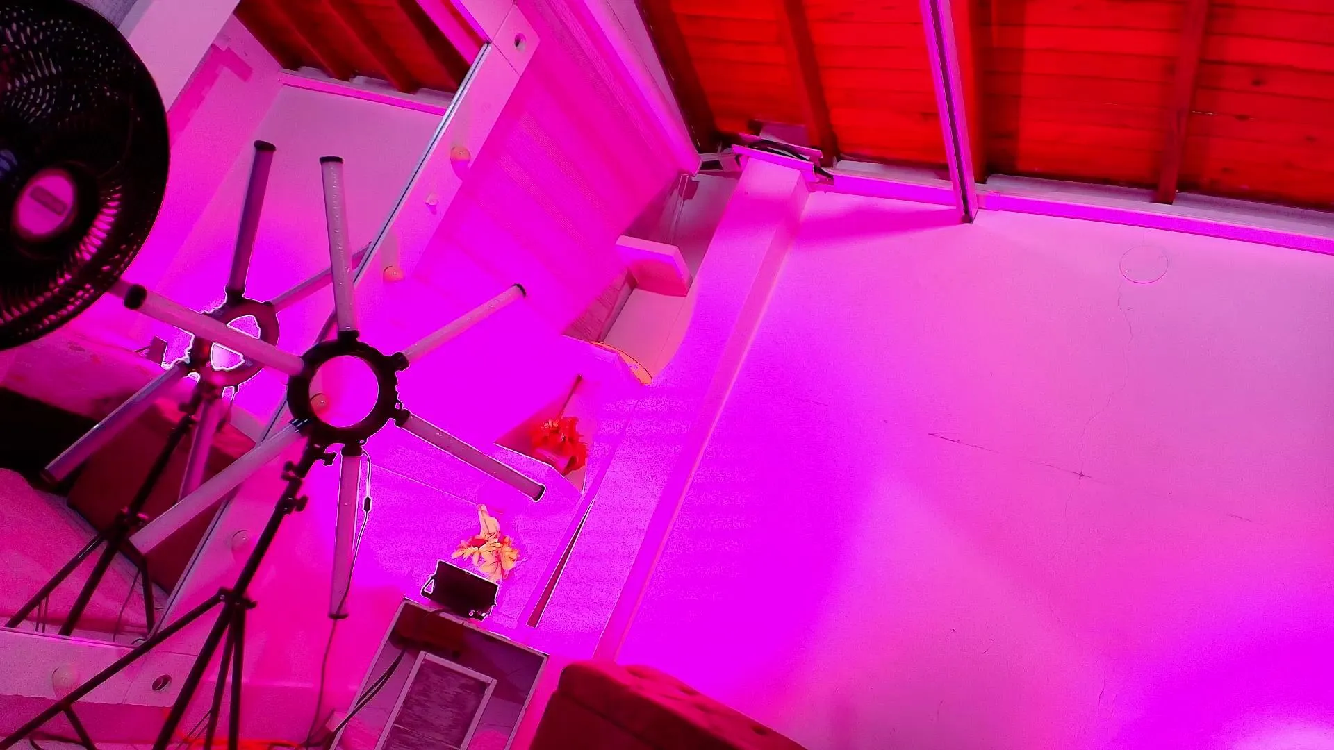 Freechat emyli_sw on Cam4