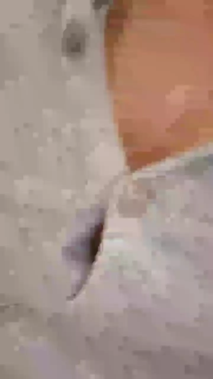 Offline evakisimovareal on Cam4