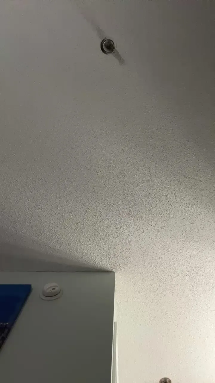 Offline HungStud42069 on Cam4