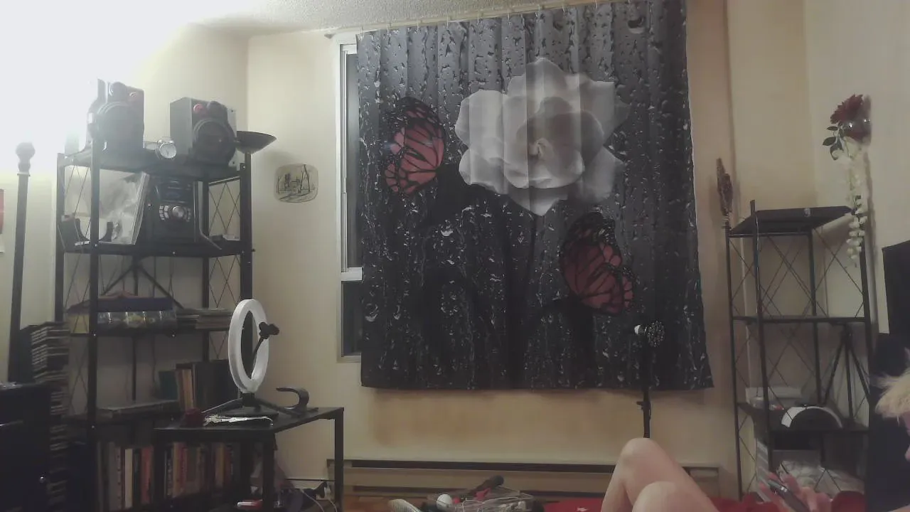 Freechat JANININA on Cam4