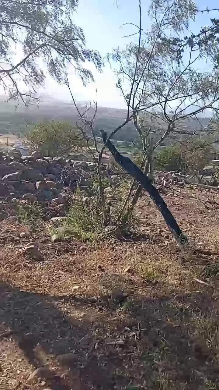 Offline KalosGyne on Cam4