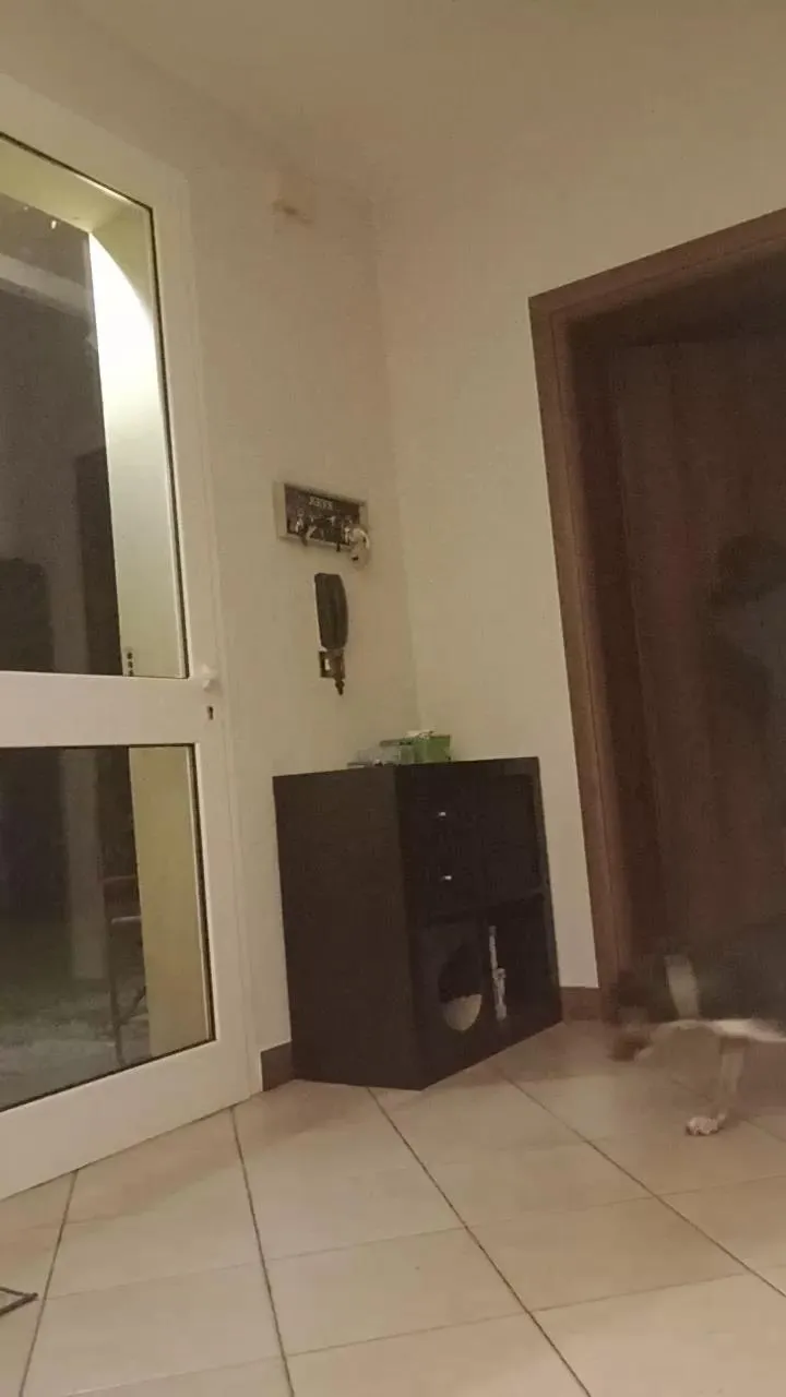 Offline Lacoppia9679 on Cam4