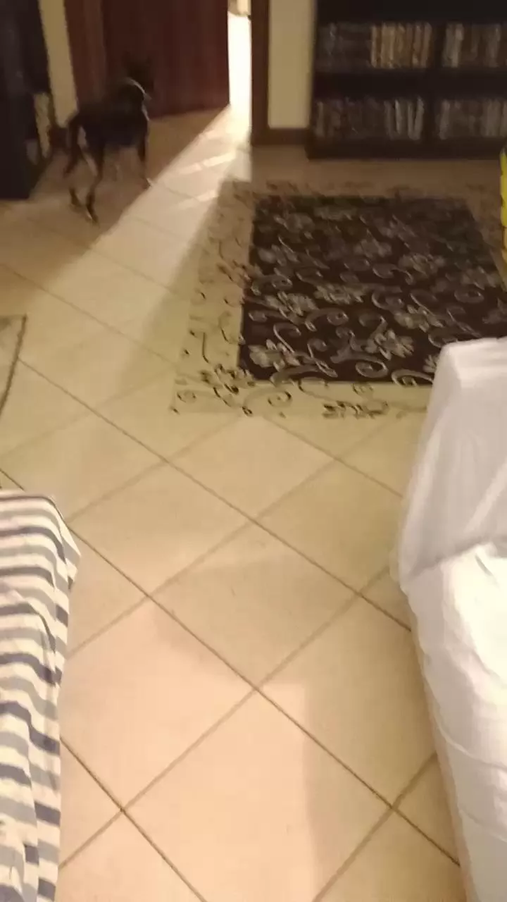 Offline Lacoppia9679 on Cam4