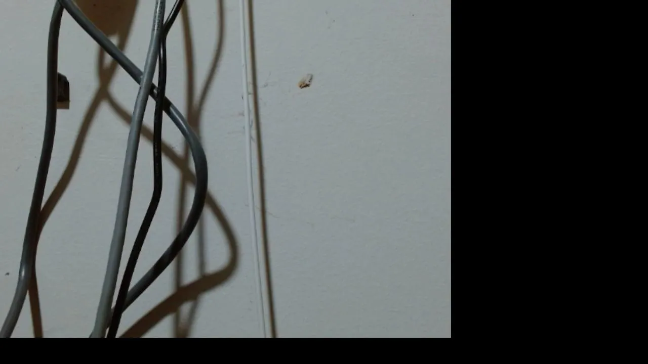 Offline ladydeathz on Cam4