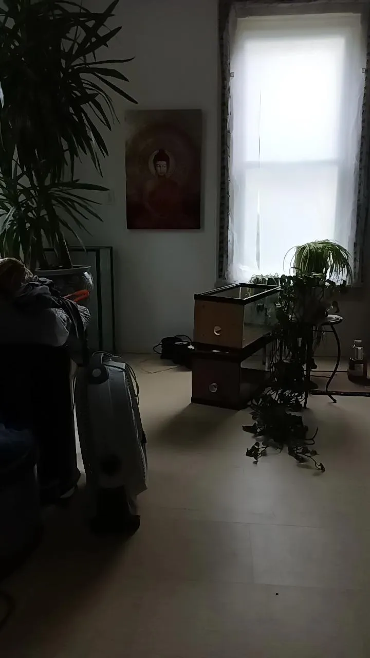 Offline Latinlover513 on Cam4