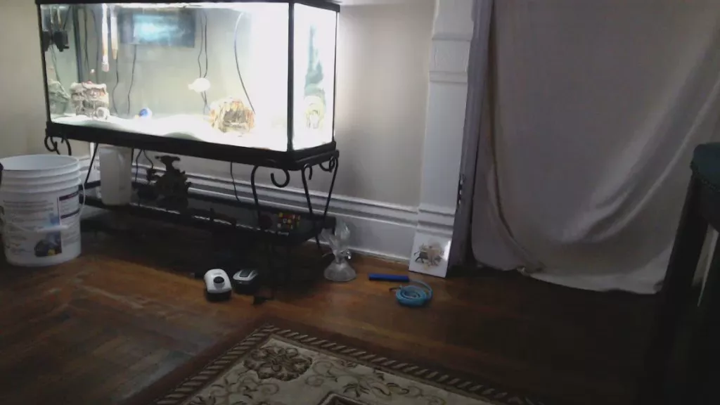 Offline Latinlover513 on Cam4