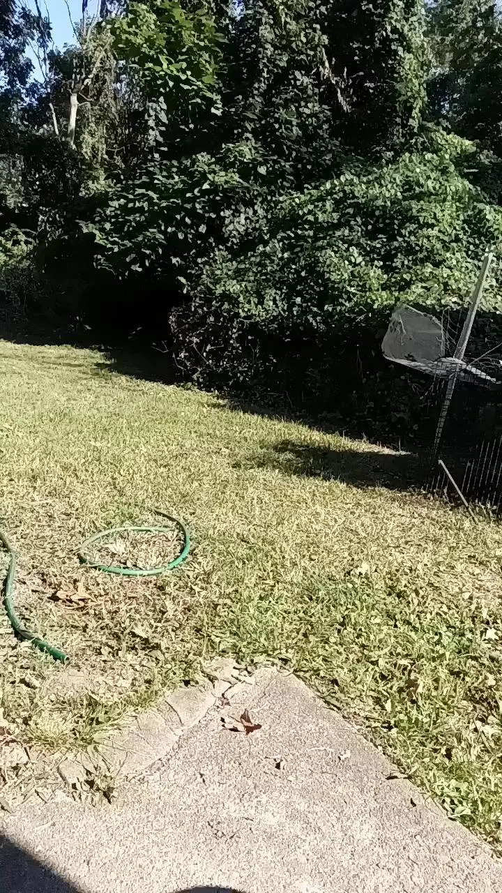 Offline Latinlover513 on Cam4