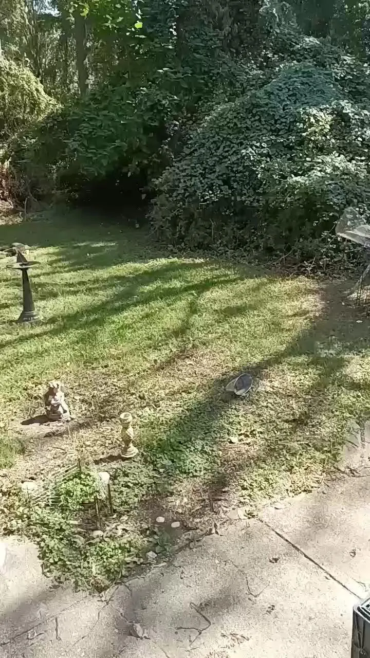 Offline Latinlover513 on Cam4