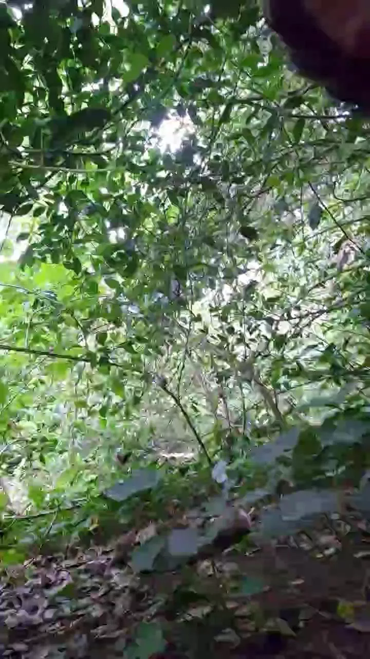 Offline LennyNaakt on Cam4