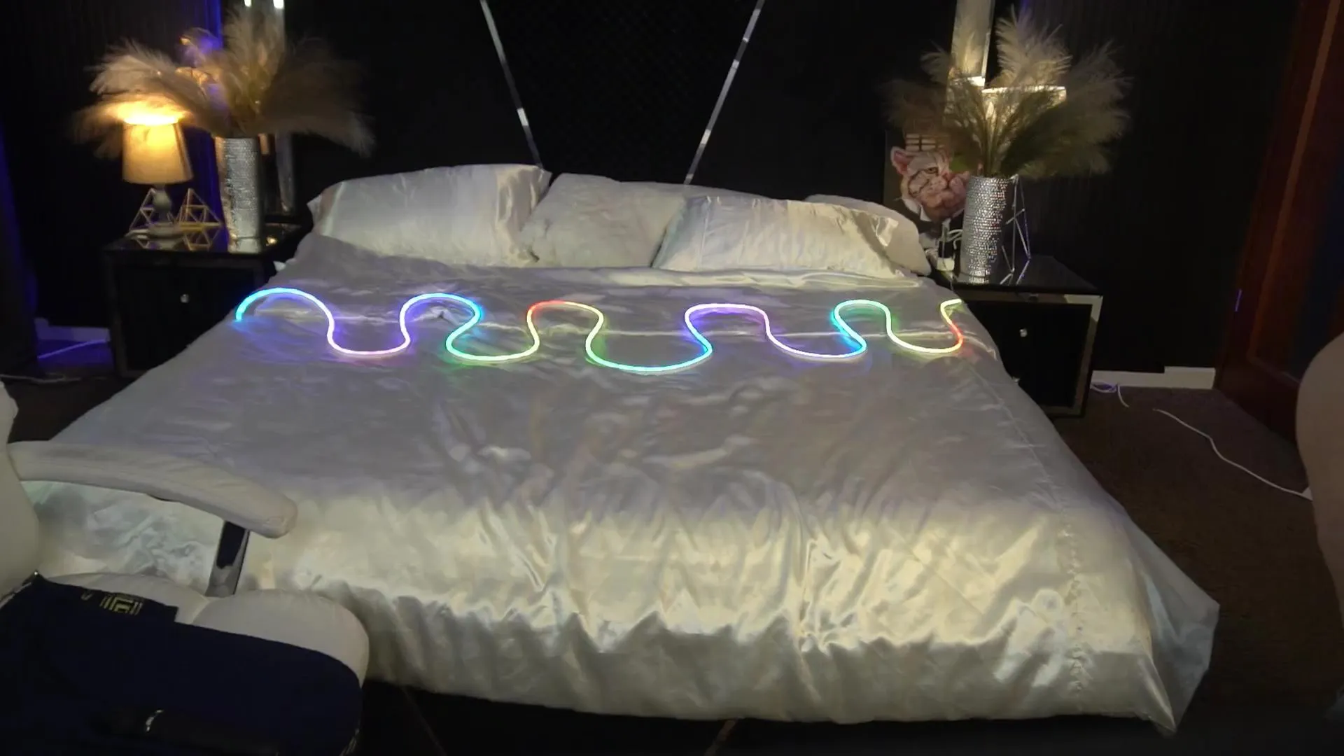 Offline LilyFoxyy on Cam4