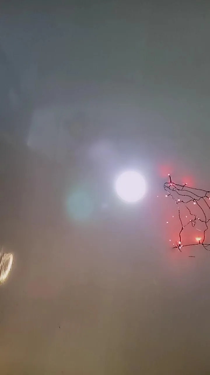 Offline Lindafox99 on Cam4