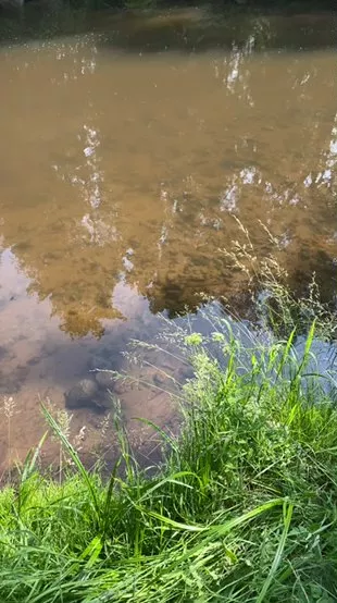 Offline Lougarou78 on Cam4