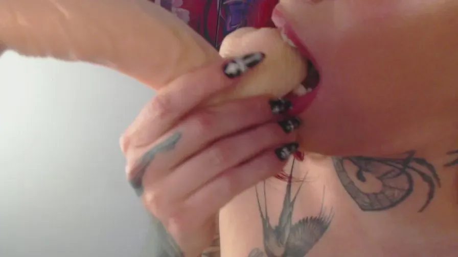 Offline Maddy_Vicius19 on Cam4