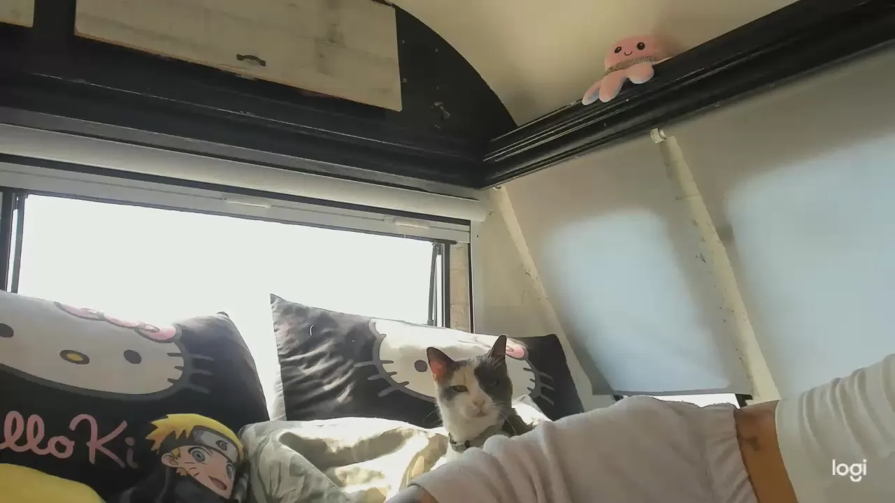 Offline MartesBratty on Cam4