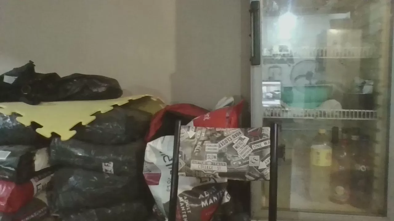 moro_arenita on Cam4 