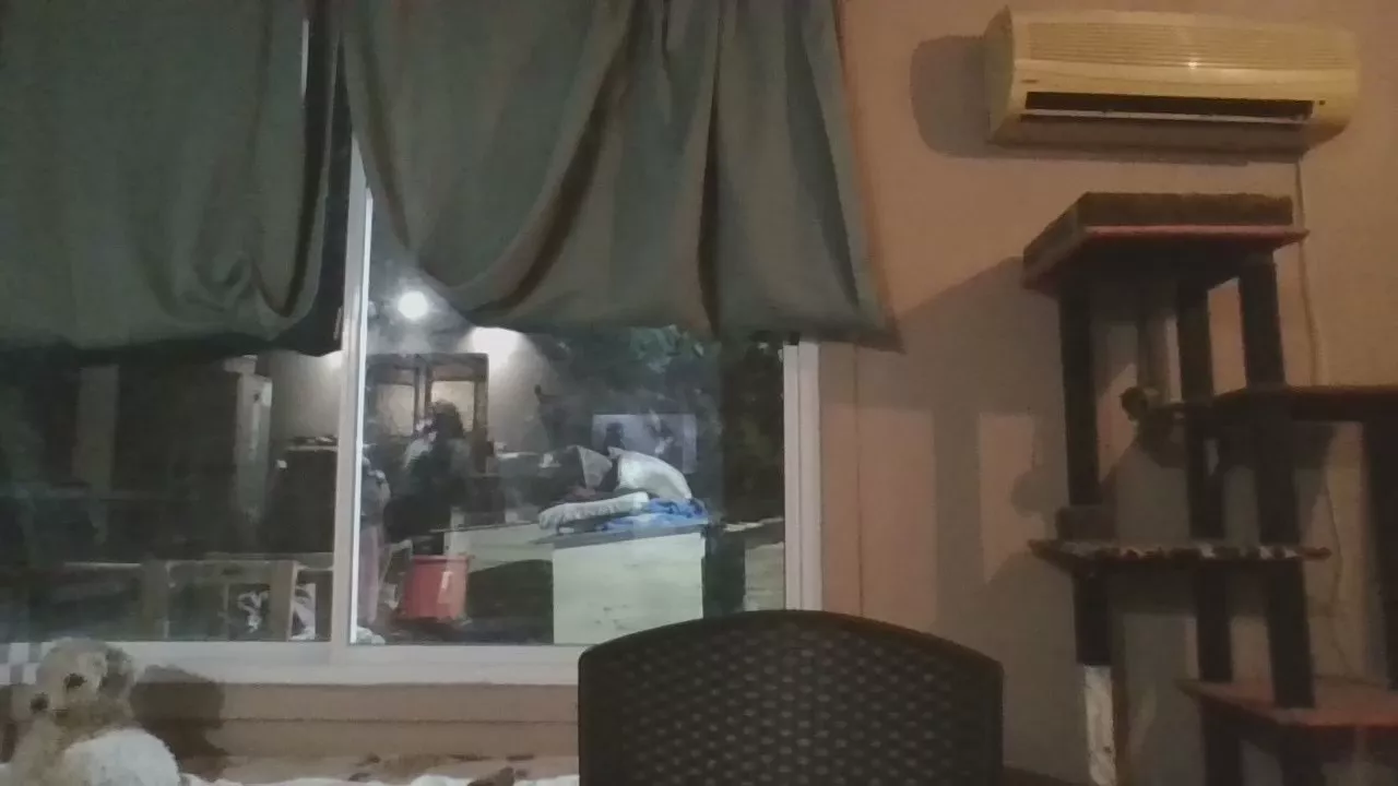 moro_arenita on Cam4 