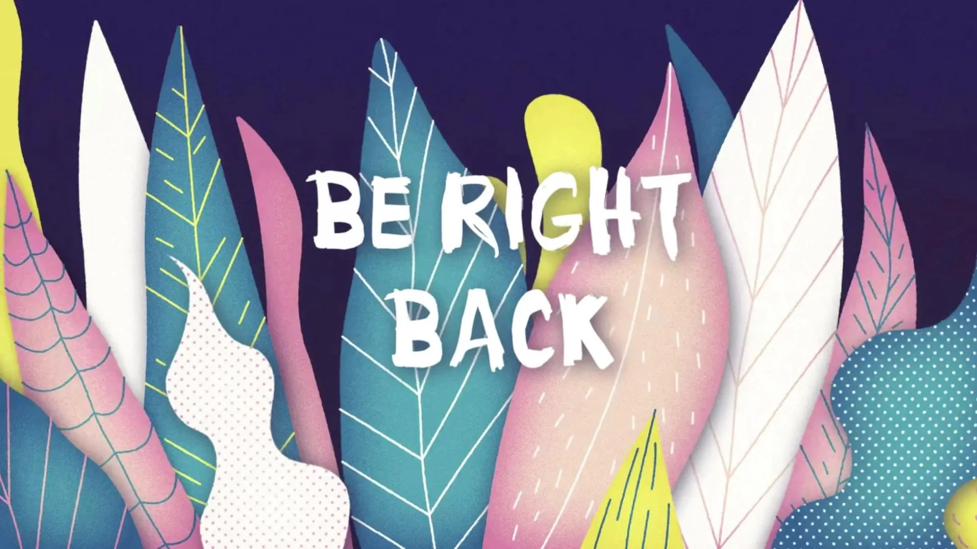 Offline Ninimoon on Cam4