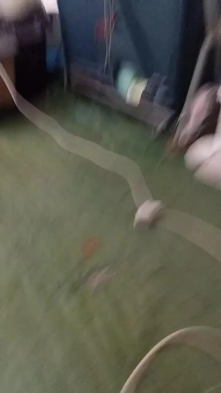 Freechat Petitebombe34 on Cam4