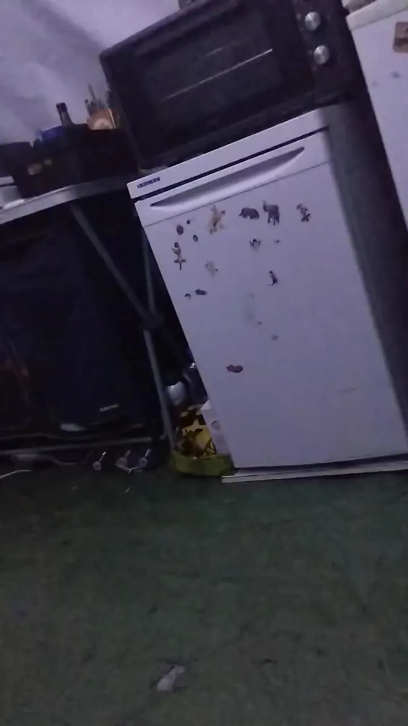 Freechat Petitebombe34 on Cam4