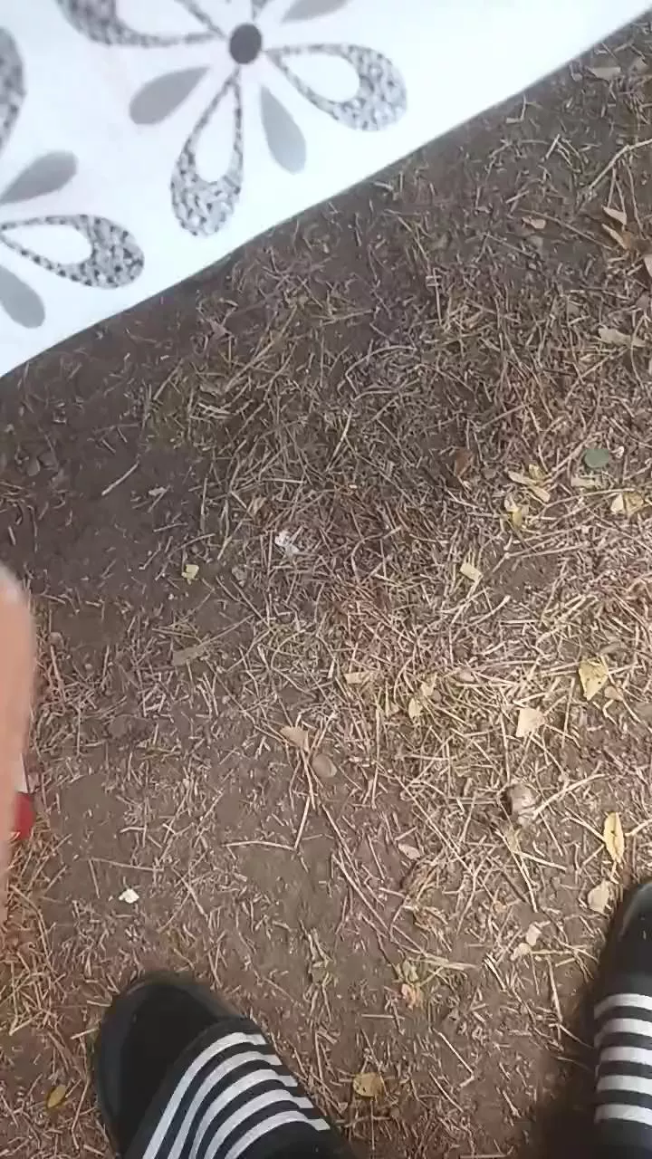 Freechat Petitebombe34 on Cam4