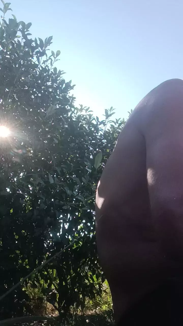 Freechat Petitebombe34 on Cam4