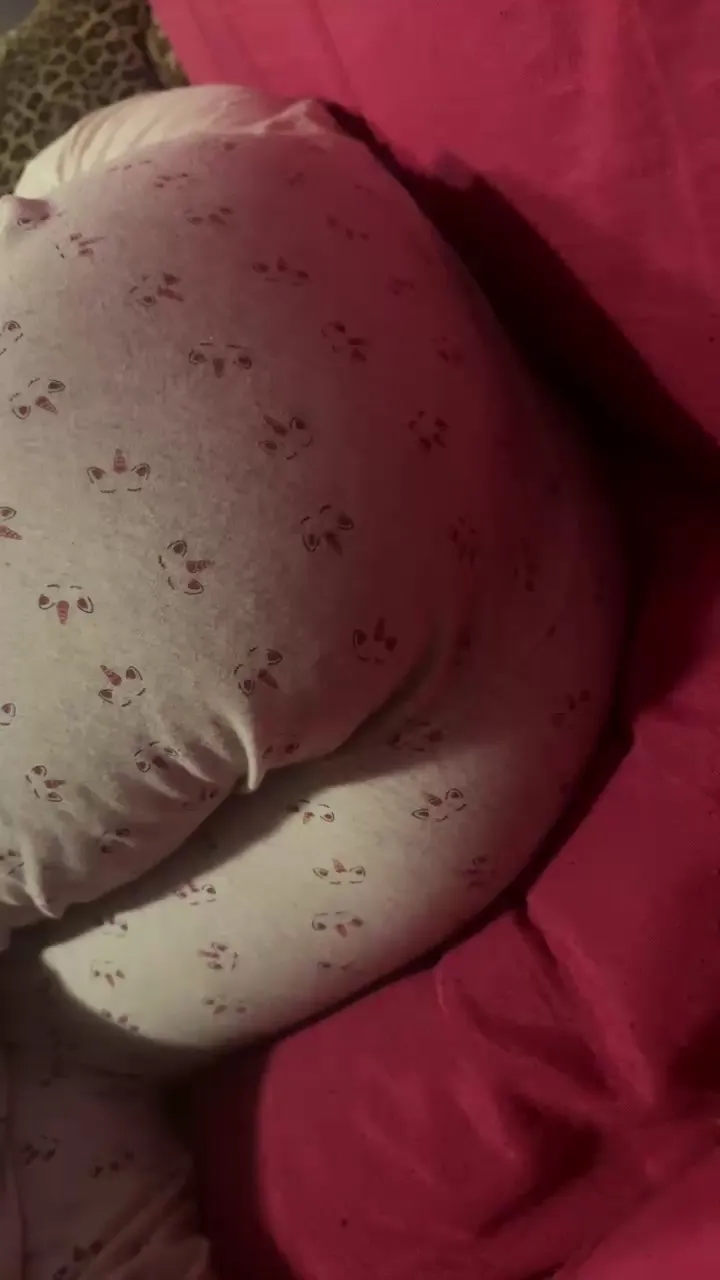 Offline Pitone30__ on Cam4