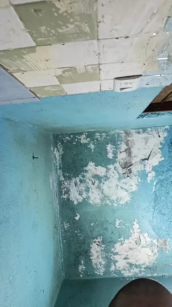 Offline Pollaaac4 on Cam4