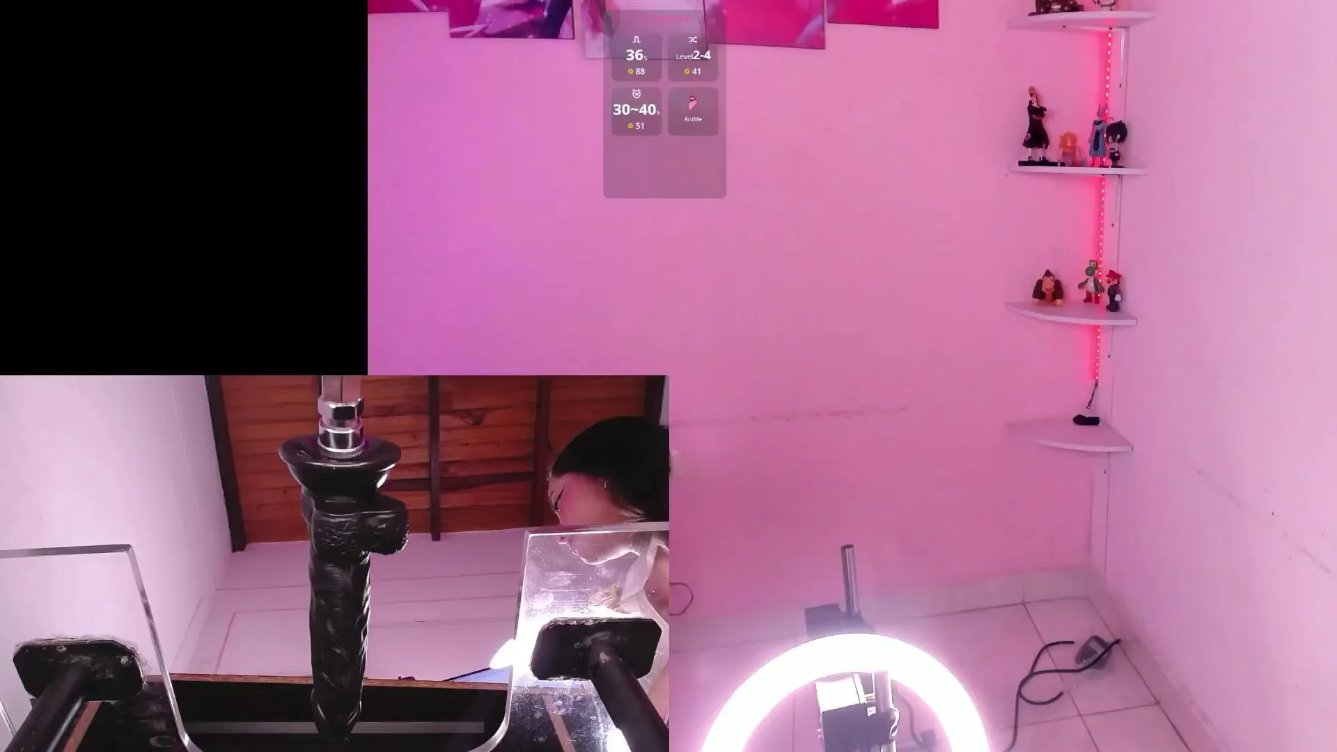 Offline PurryBella on Cam4