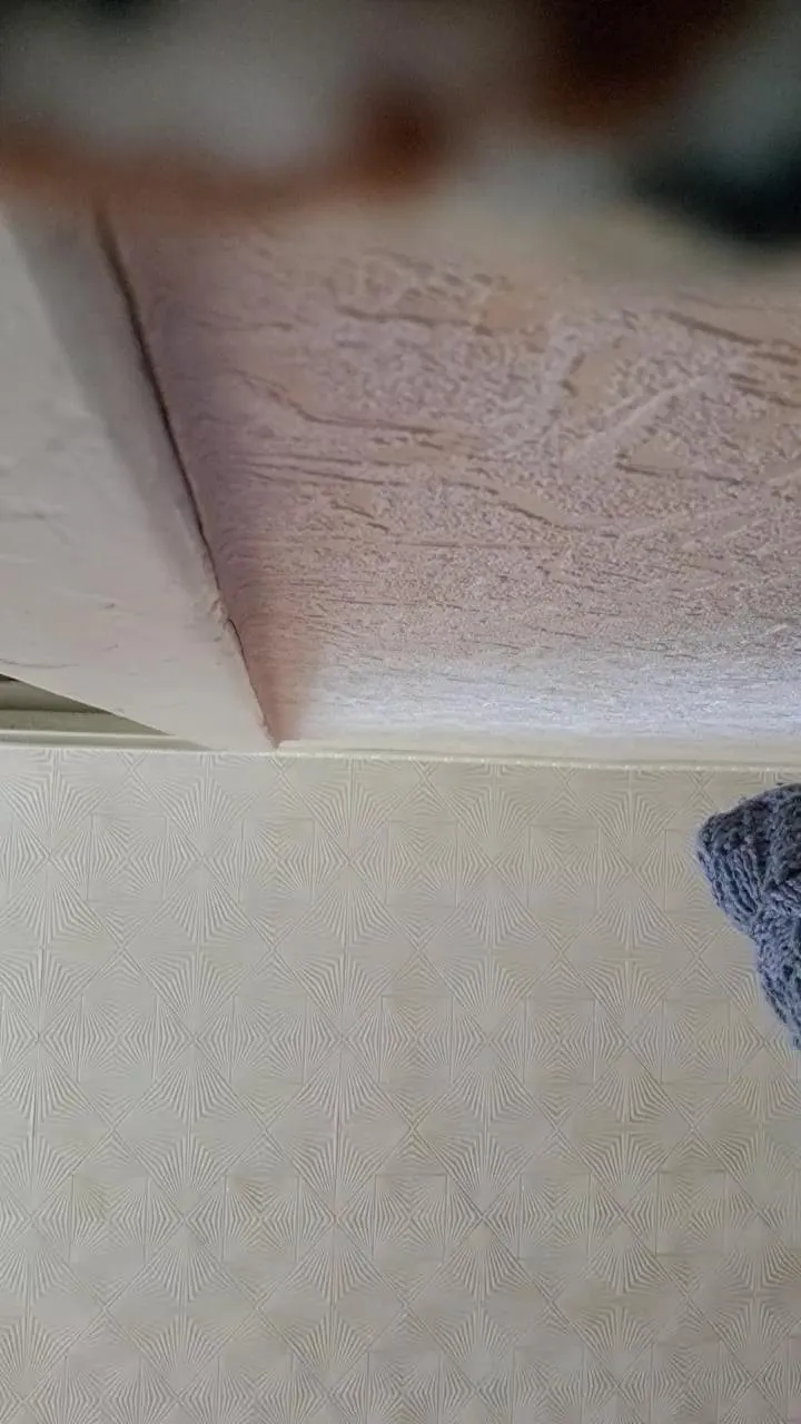 Offline roses_sexy on Cam4