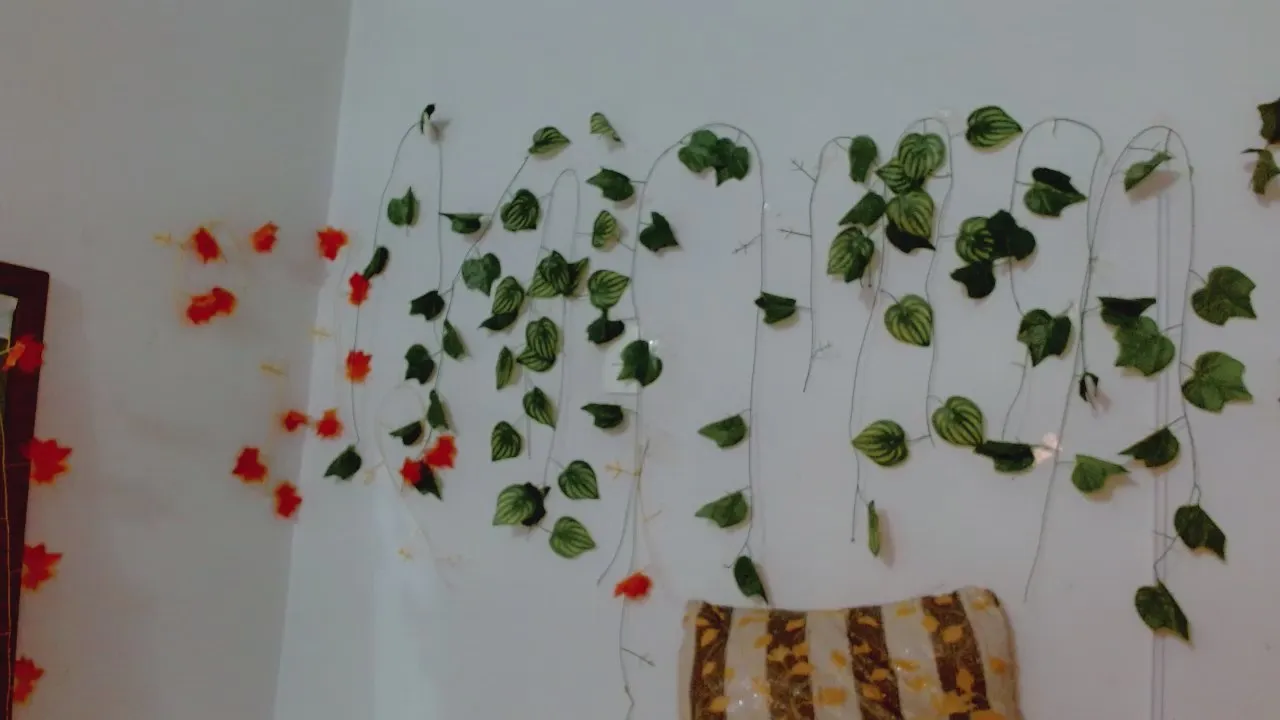 Offline SabrinaOlson on Cam4