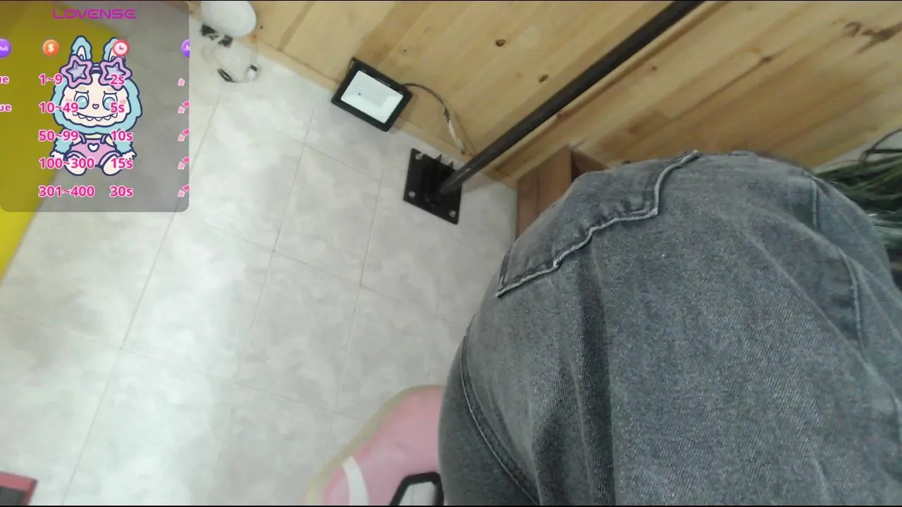 Offline sally23_ on Cam4