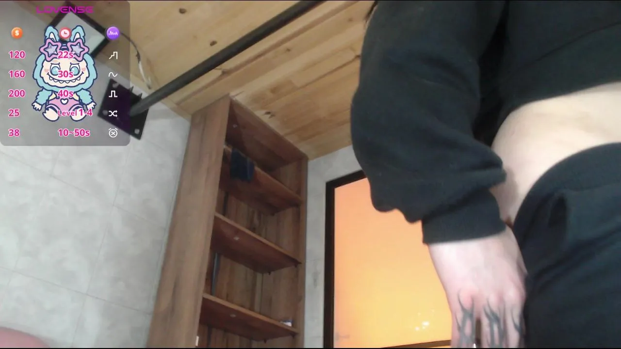 Offline sally23_ on Cam4