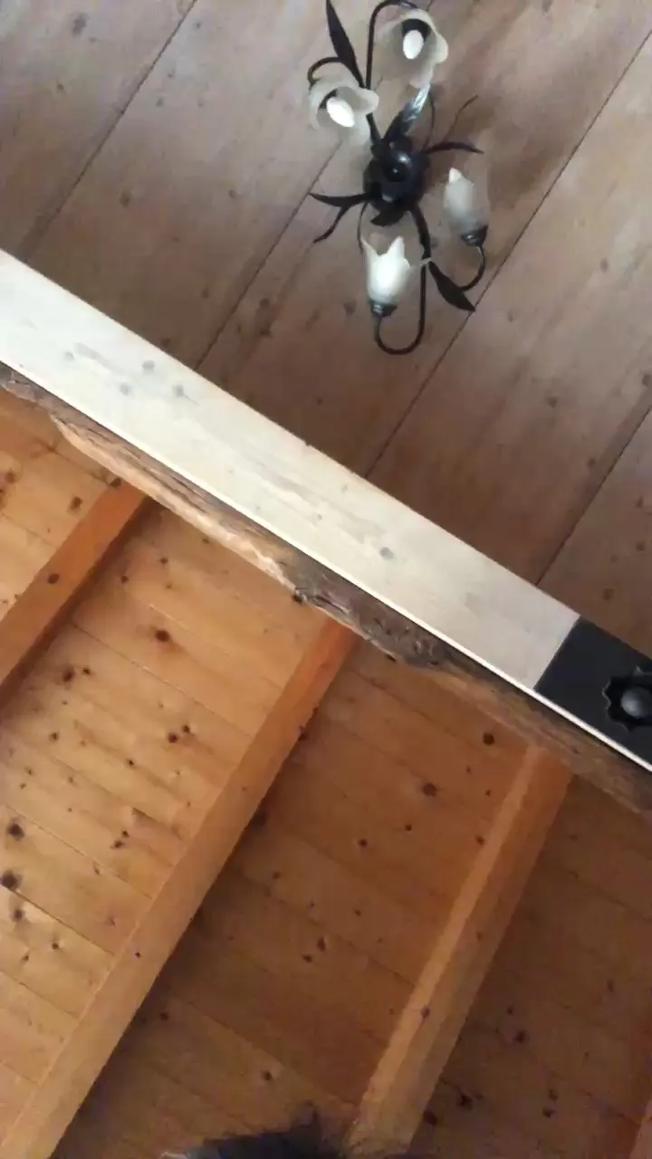 Offline Saretta246 on Cam4