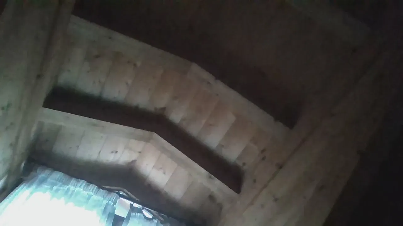 Offline Saretta246 on Cam4