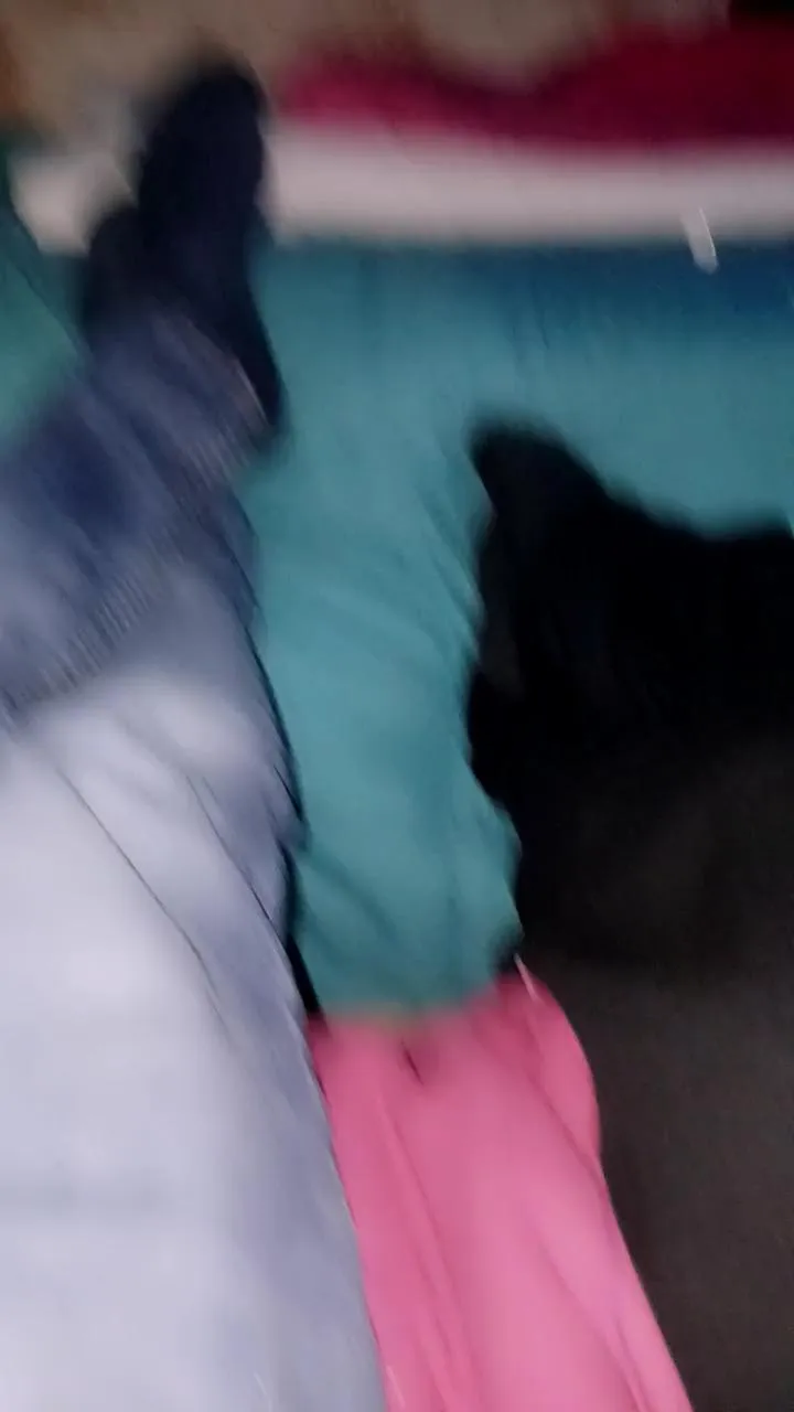 Offline Scalareale66 on Cam4