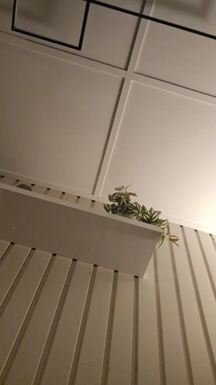 Offline SensualMinx on Cam4