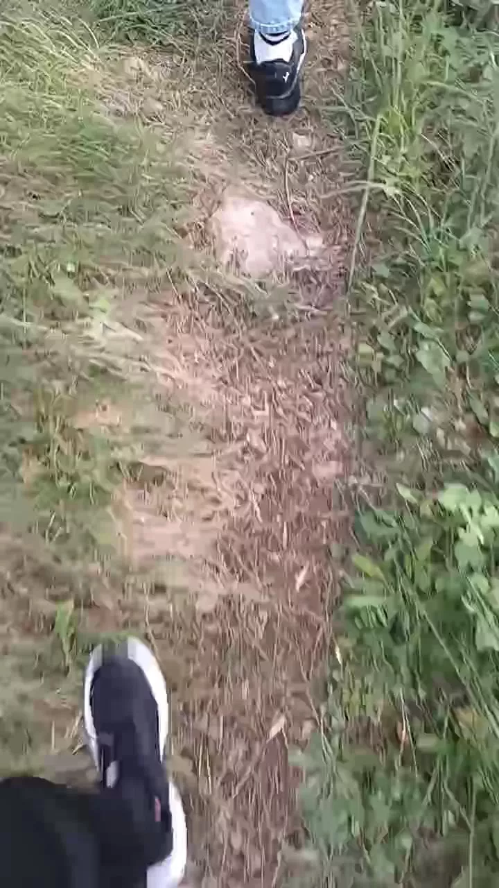 Offline Sexycouple20_21 on Cam4