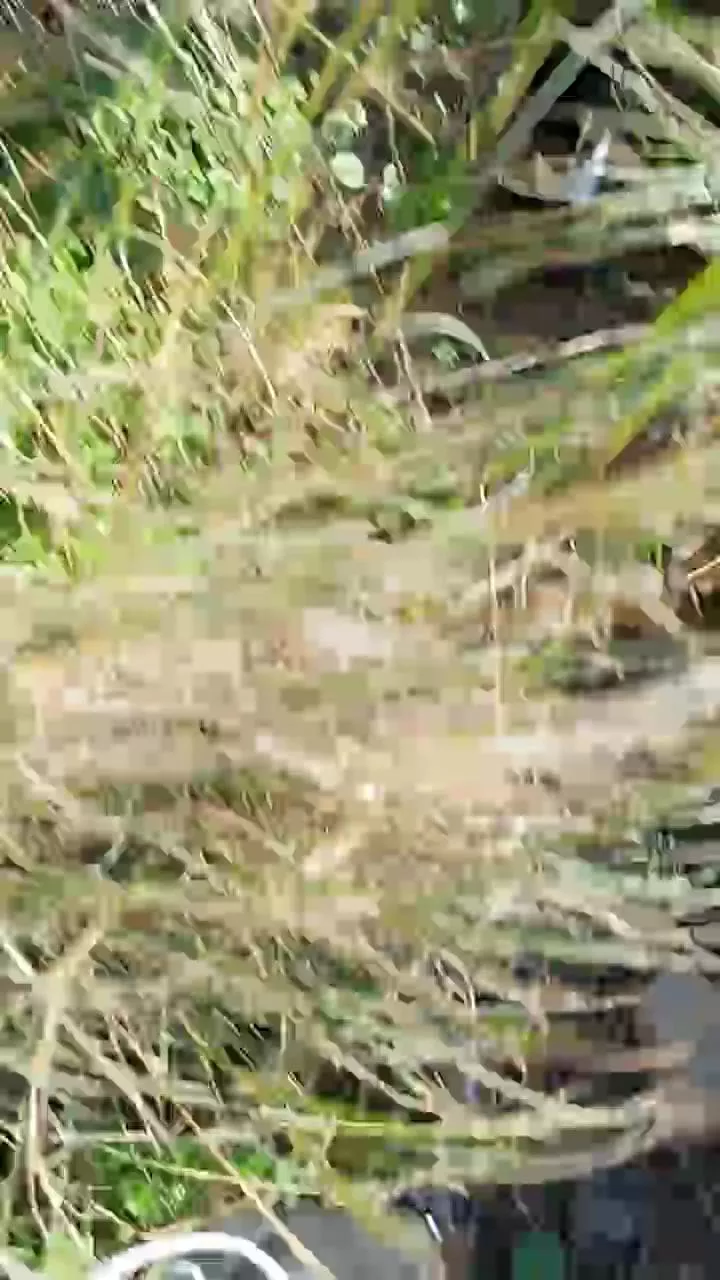 Offline Sexycouple20_21 on Cam4