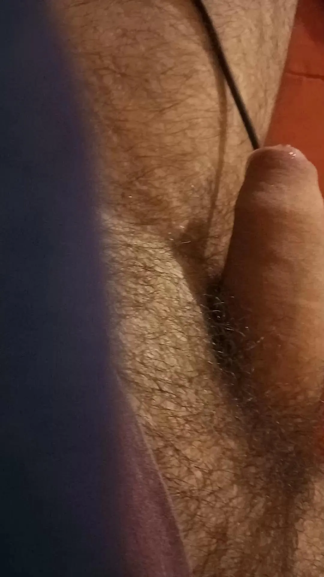 Freechat sexycum66666 on Cam4