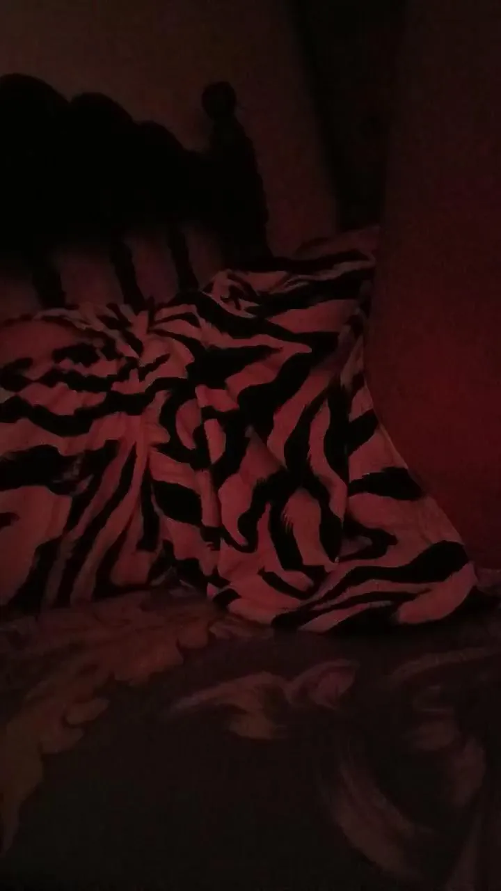 Offline Siltorres33 on Cam4