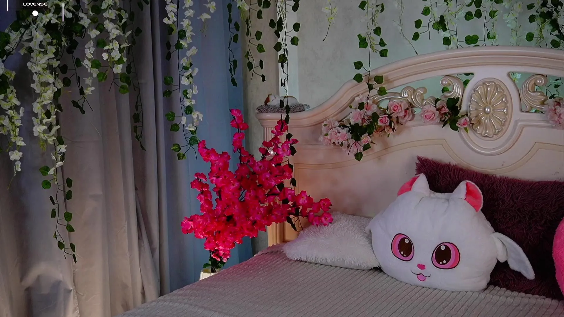 Offline SilverAlliston on Cam4