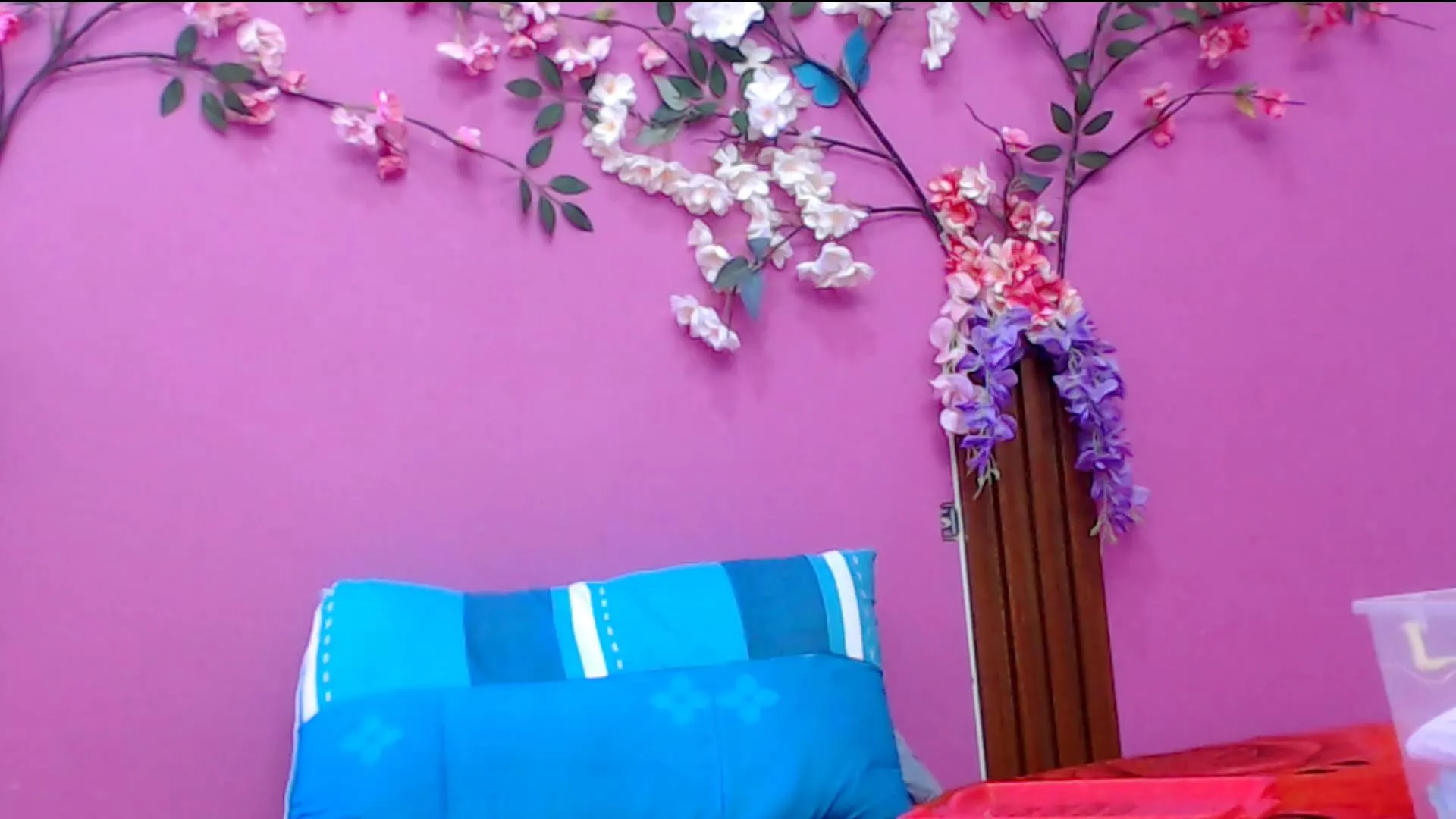 Offline skinnysofia18 on Cam4