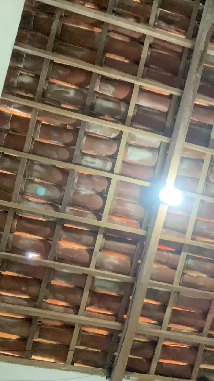 Offline Spiderfindom on Cam4