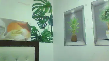 Offline sweetarlen888 on Cam4